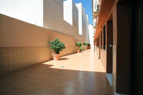 Sanpedro Apartamentos Marbella San Pedro de Alcántara Dış mekan fotoğraf